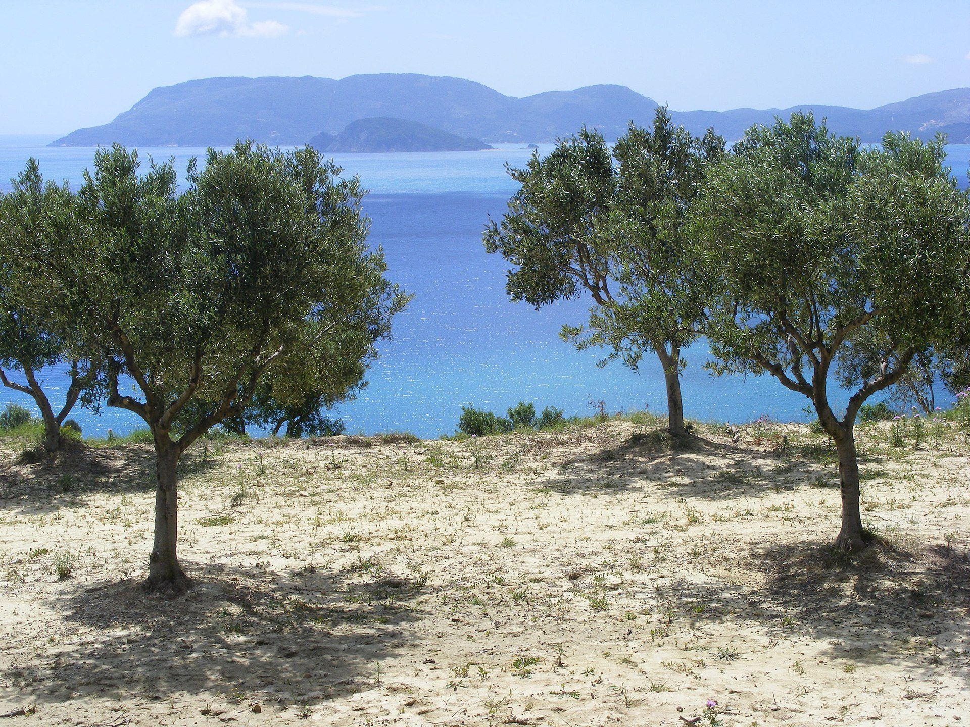 Your island, your route
